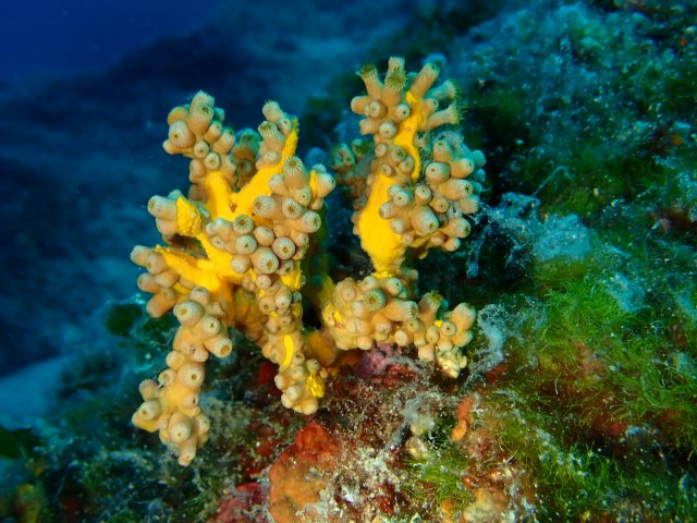 foto 10.06.19 18 18 14